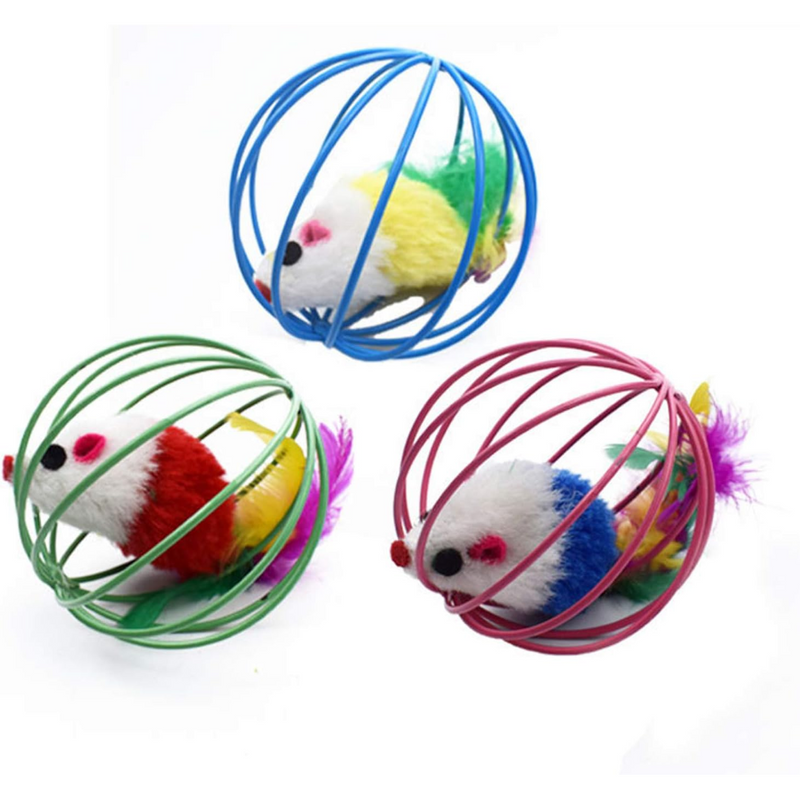 Ratinho no Circulo