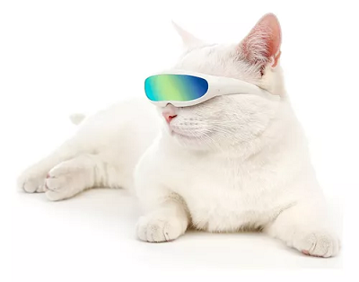 Óculos De Sol Cães Pequeno Porte e Gatos