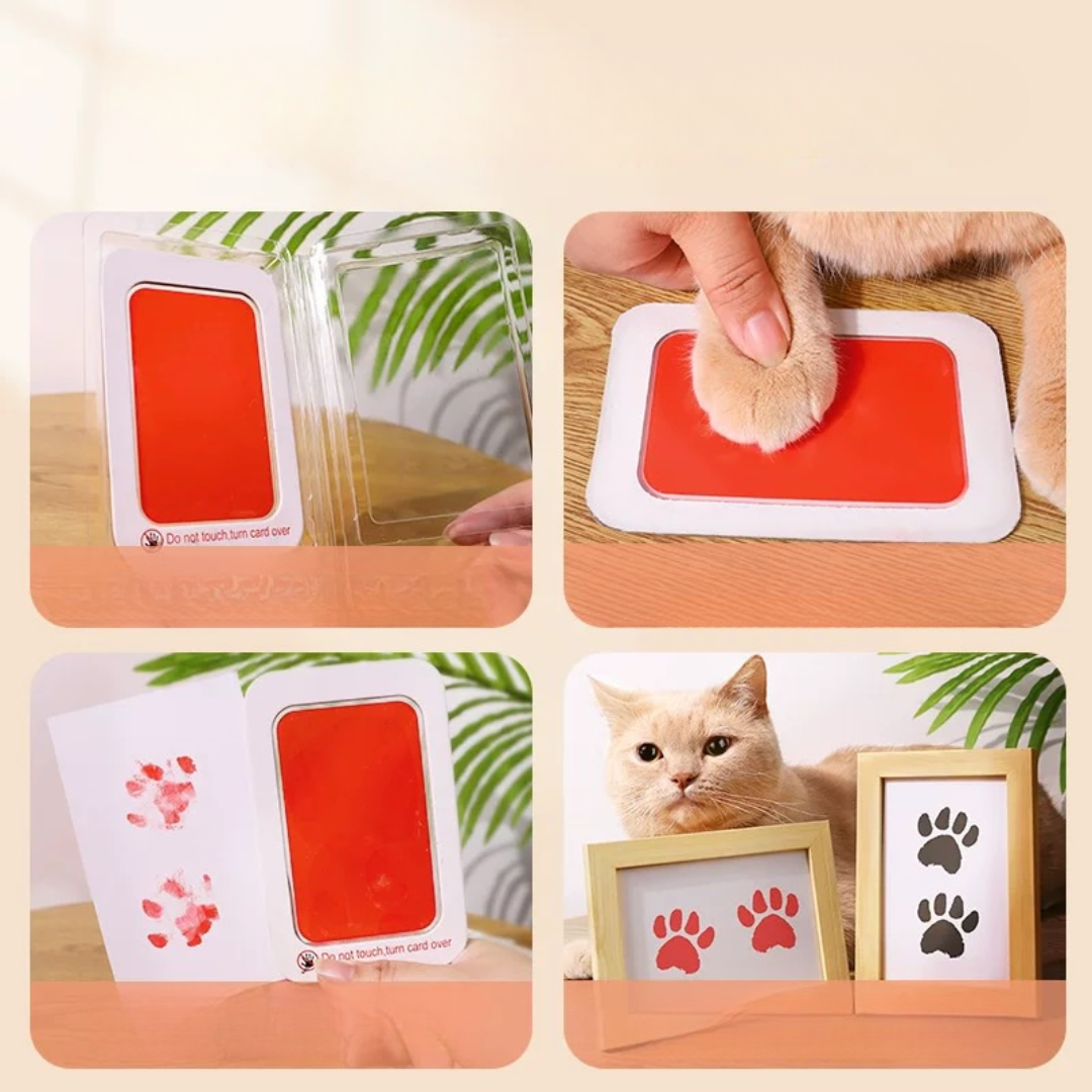 Kit Tinta + Porta Retrato Pata Pet