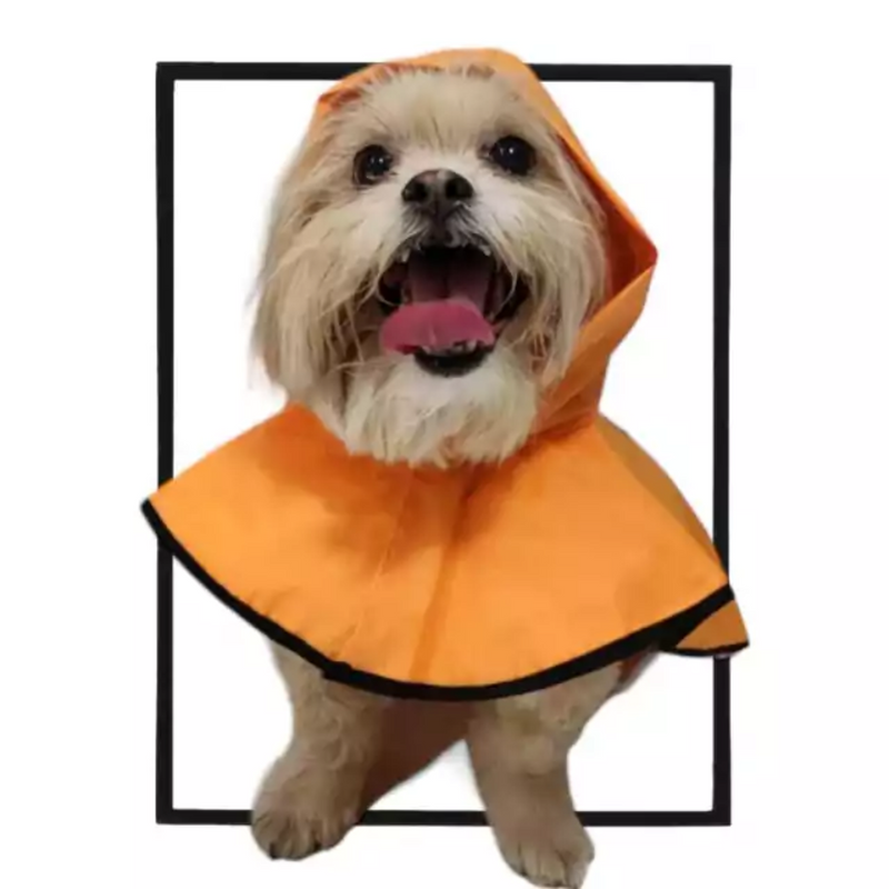 Capa De Chuva Laranja -  G1