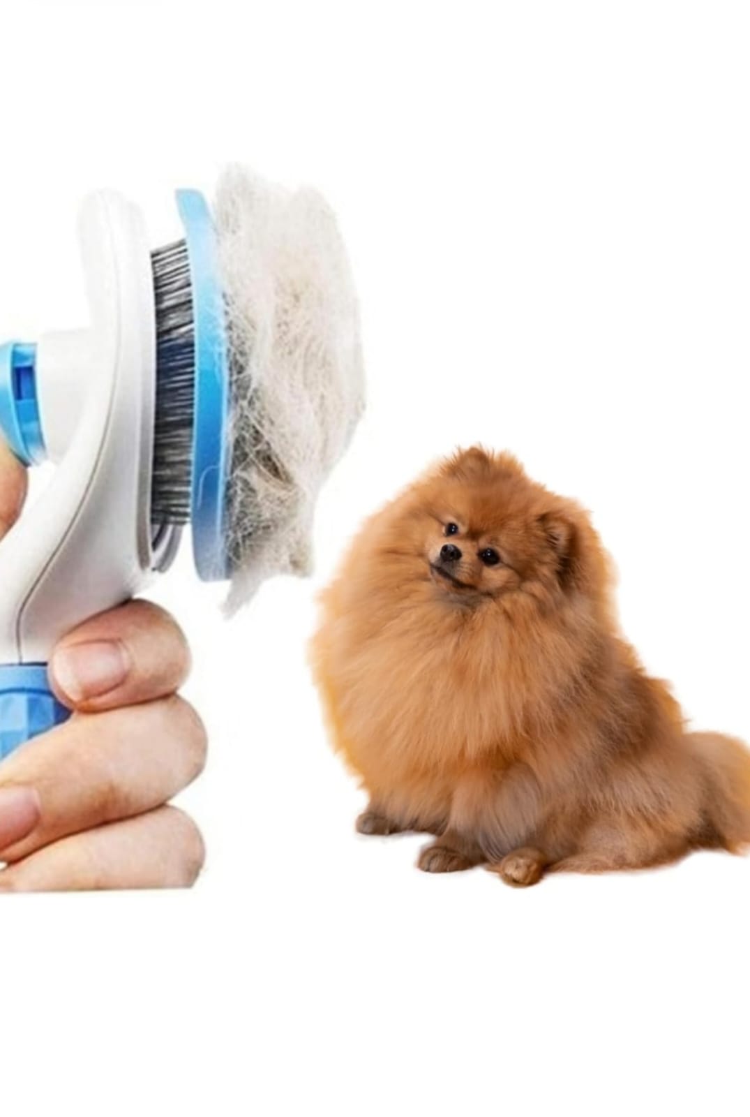 Rasqueadeira Premium Para Cães e Gatos