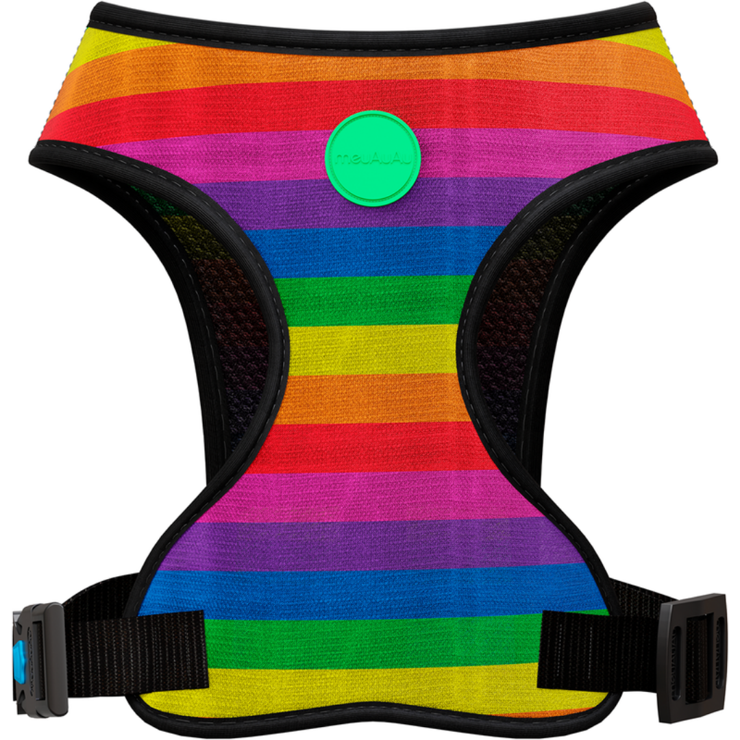 PEITORAL MEUAUAU RAINBOW