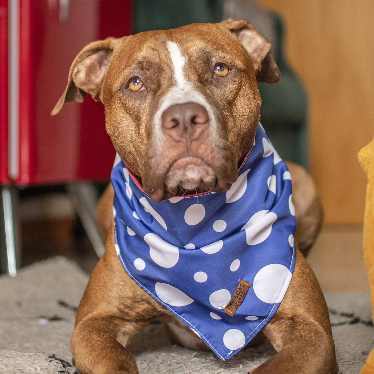 Bandana Dupla Face Geometrica