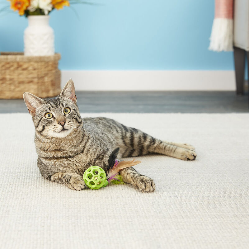 BRINQUEDO FEATHER BALL
