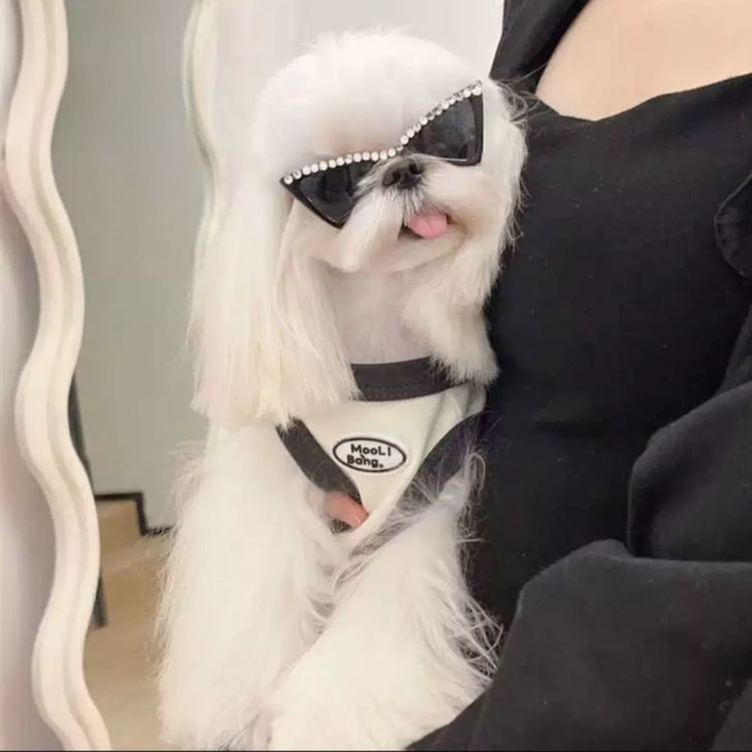 Óculos Triangular com Strass