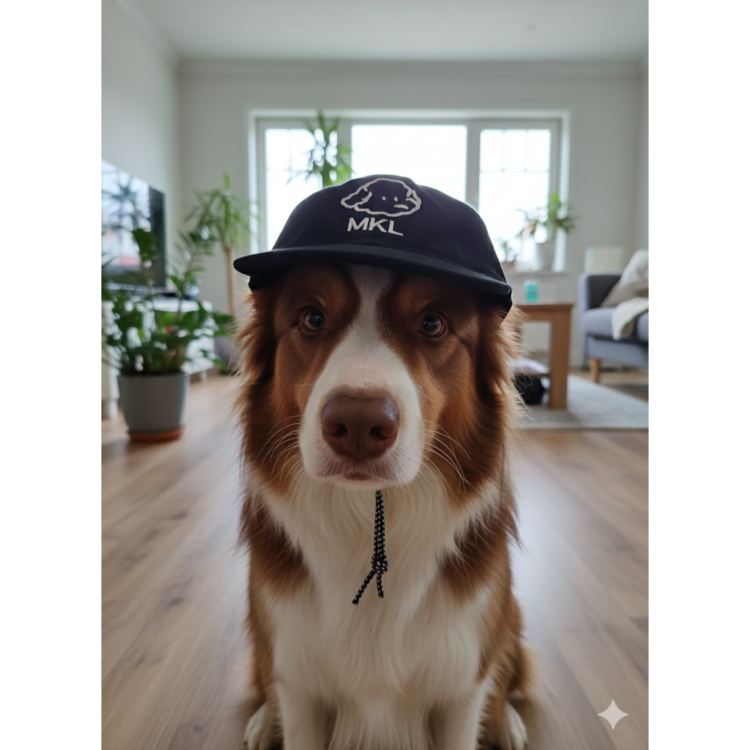 Boné Cachorrinho Com Elastico