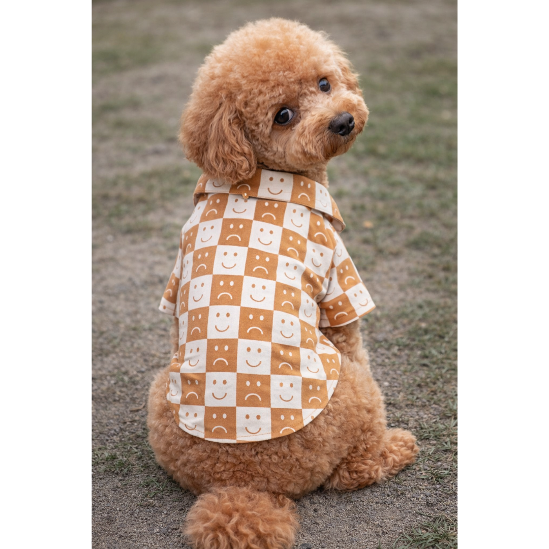 Camisa Marrom Xadrez