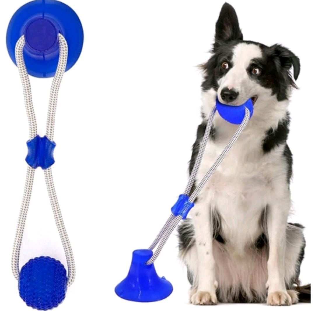 Brinquedo Puxador com Ventosa e Bola