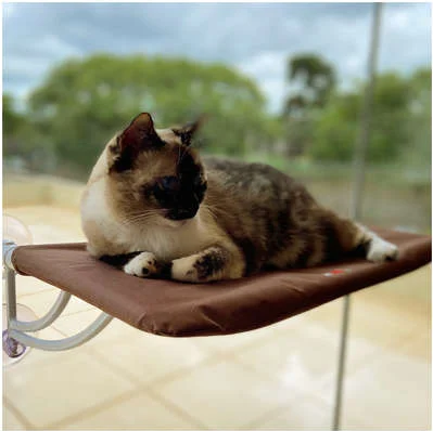 Cama De Janela Suspensa Com Ventosa Para Gatos - Até 15kg