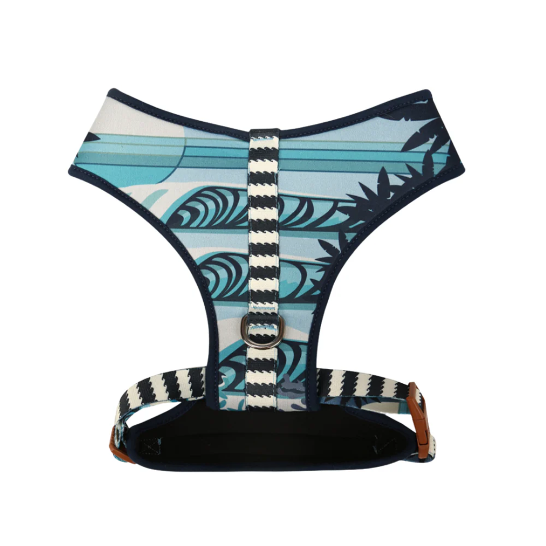 Peitoral Neocomfy e Guia Noronha PP