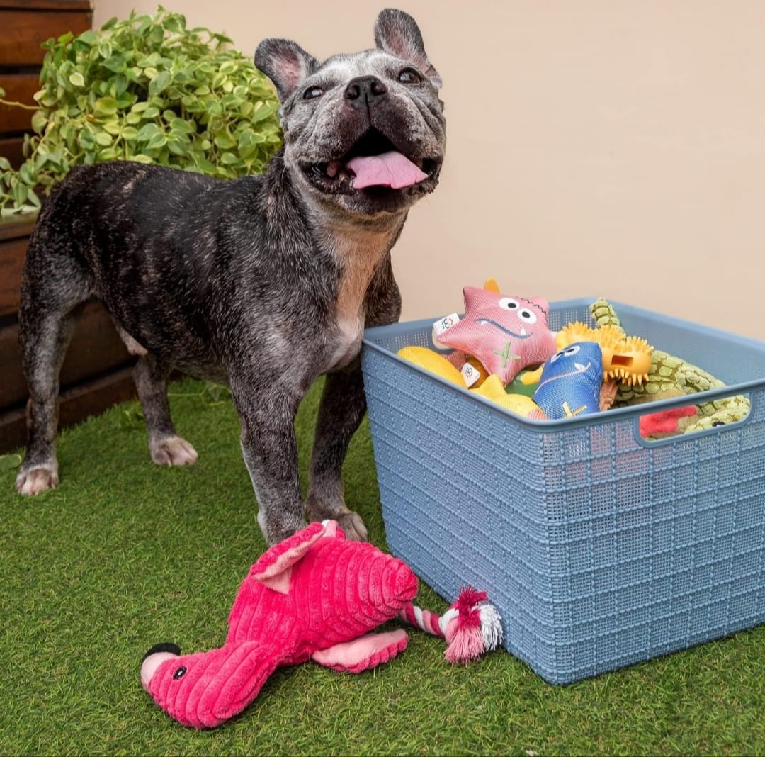 Flamingo Pelúcia Com Som e Corda