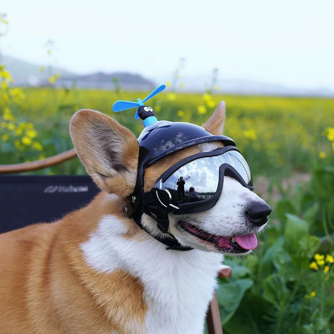 Óculos Esqui Grande