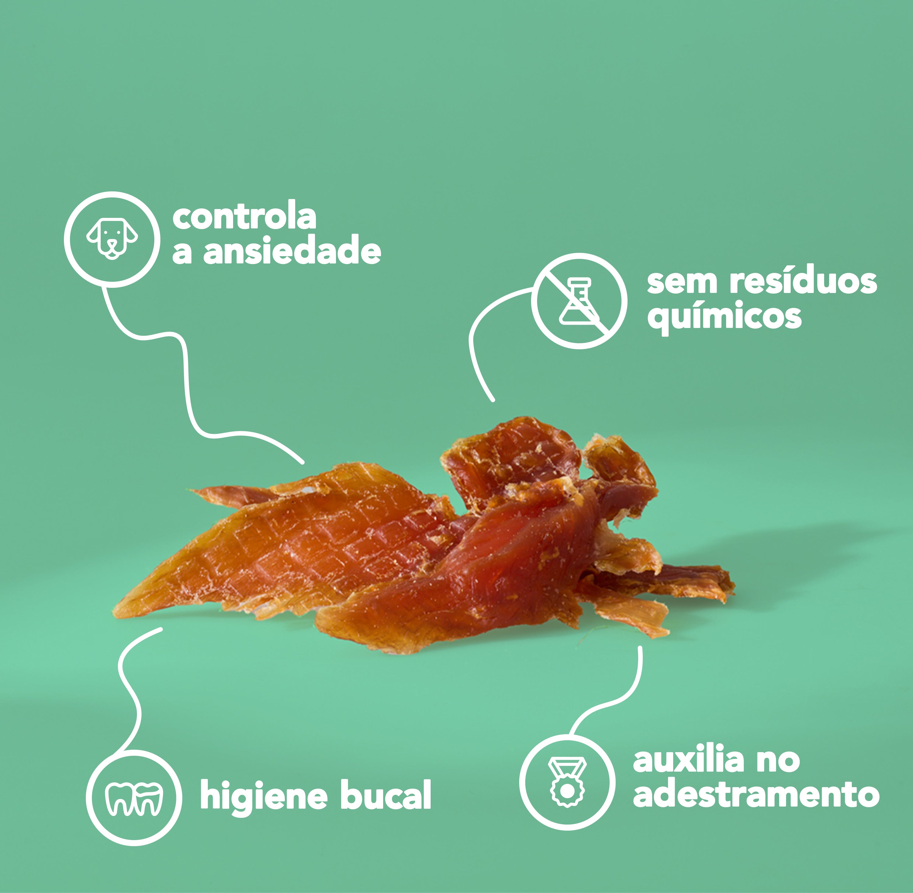 ISCA DE FRANGO 80G