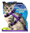 Peitoral Gato Fino