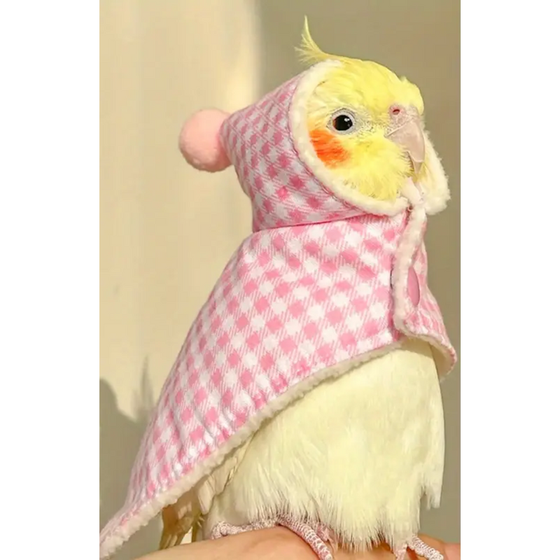 Roupa Inverno Passarinho