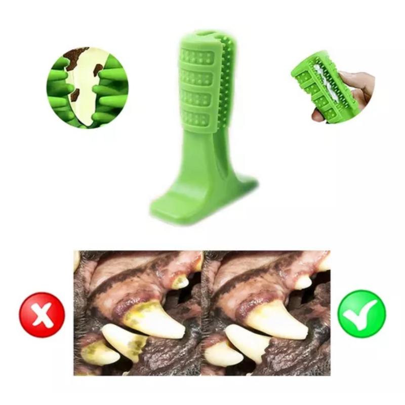 Mordedor Dental G