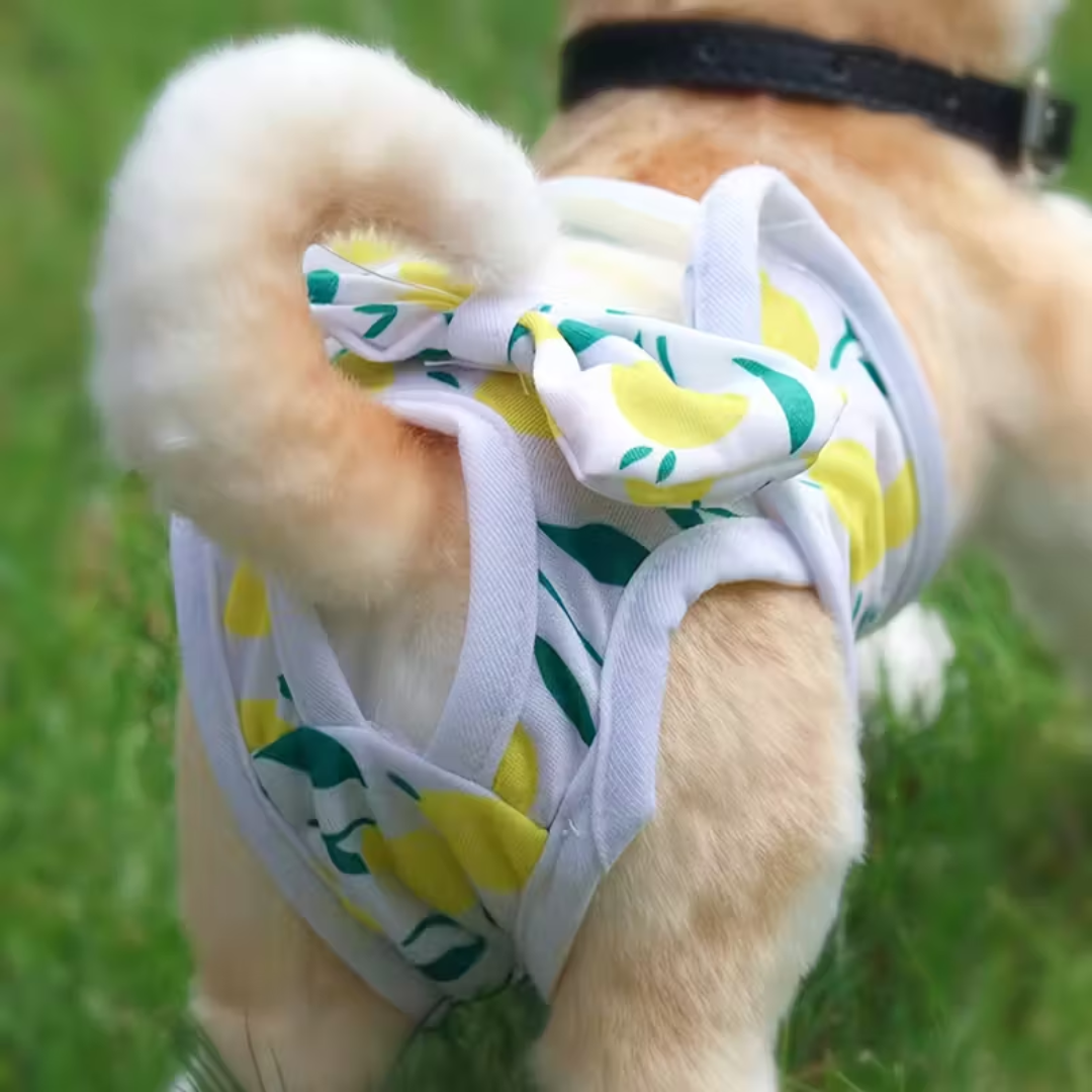 Calcinha Pet Estampada