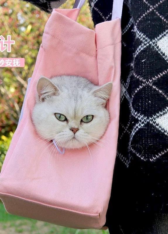 Bolsa De Transporte Pet Lateral