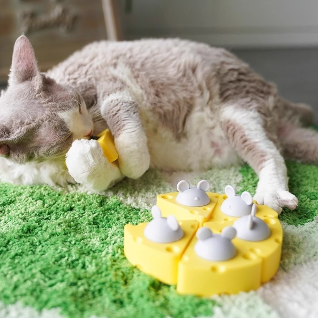 Lambedor Catnip Gatos Queijo