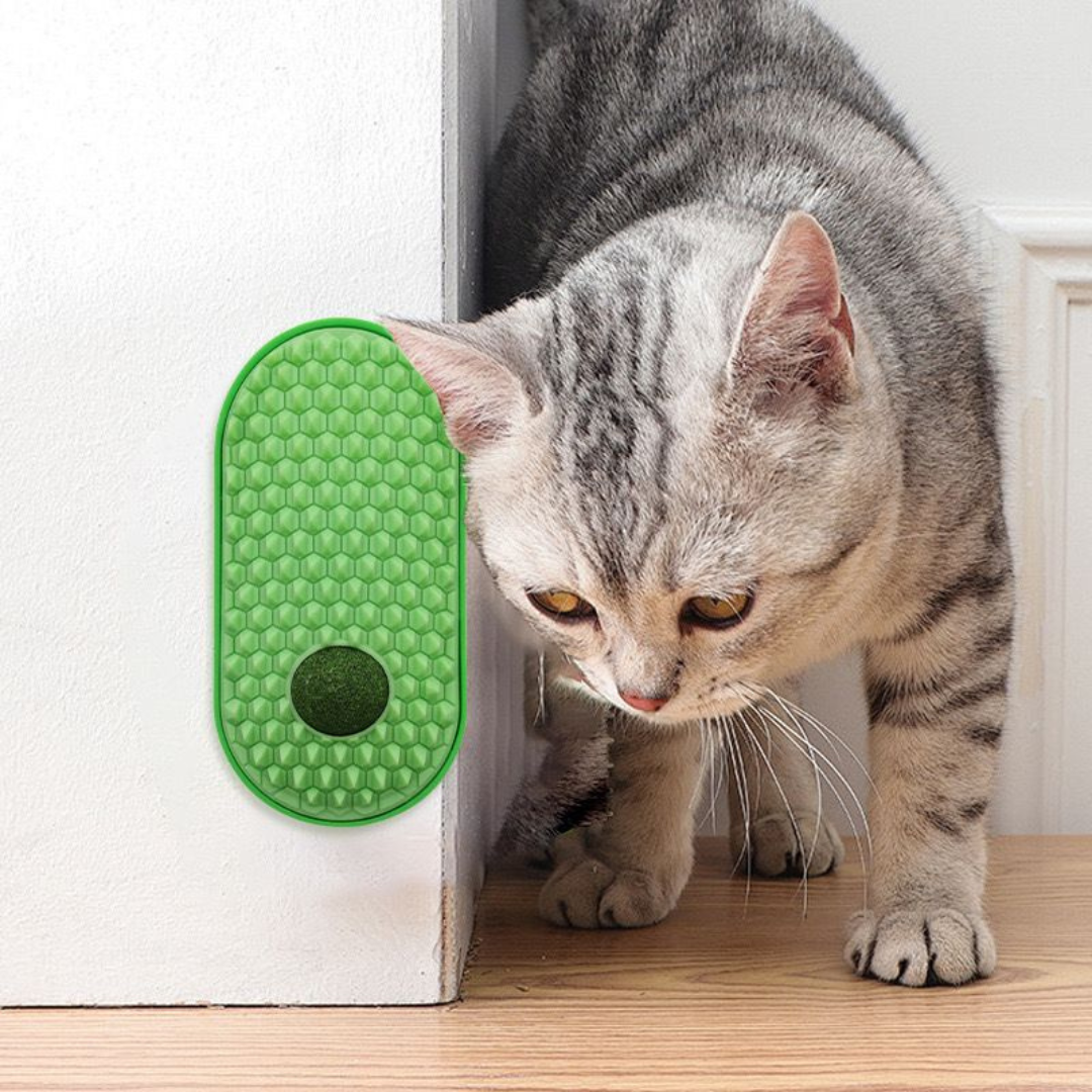 Arranhador De Parede Com Cat Nip