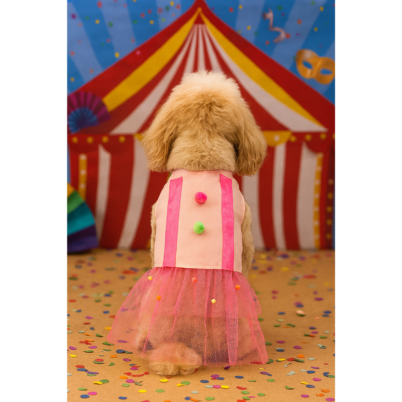 Vestido Carnaval com Tule