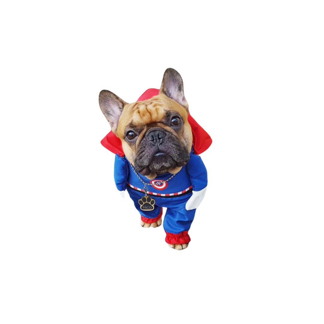 Fantasia Capitão América