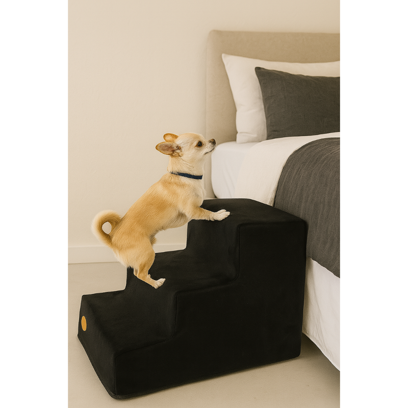 Escada Pet