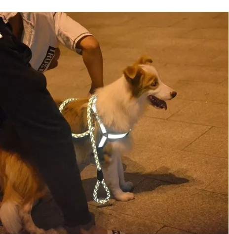 Peitoral + Guia Refletivos