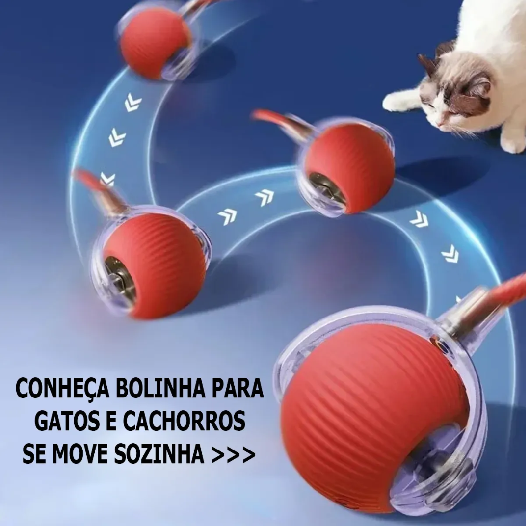 Bola Interativa Giratória