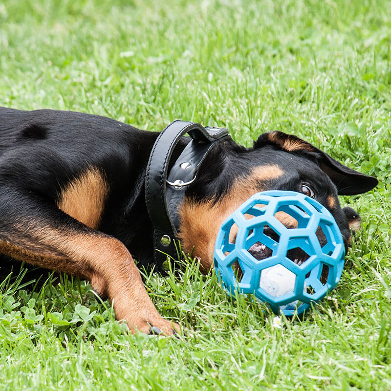 BOLA HOLEE ROLLER SM JW AZUL