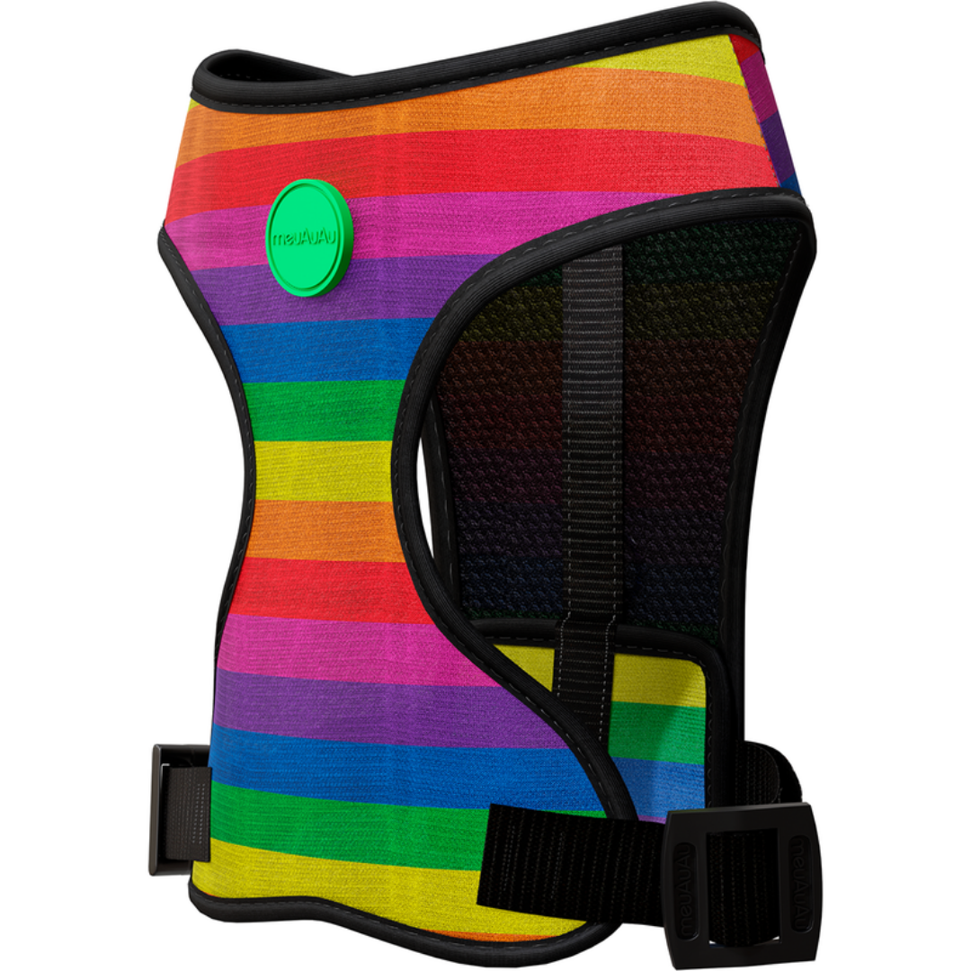 PEITORAL MEUAUAU RAINBOW