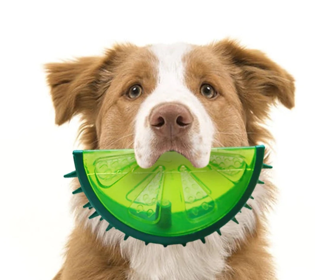 Brinquedo Gelado Frutas