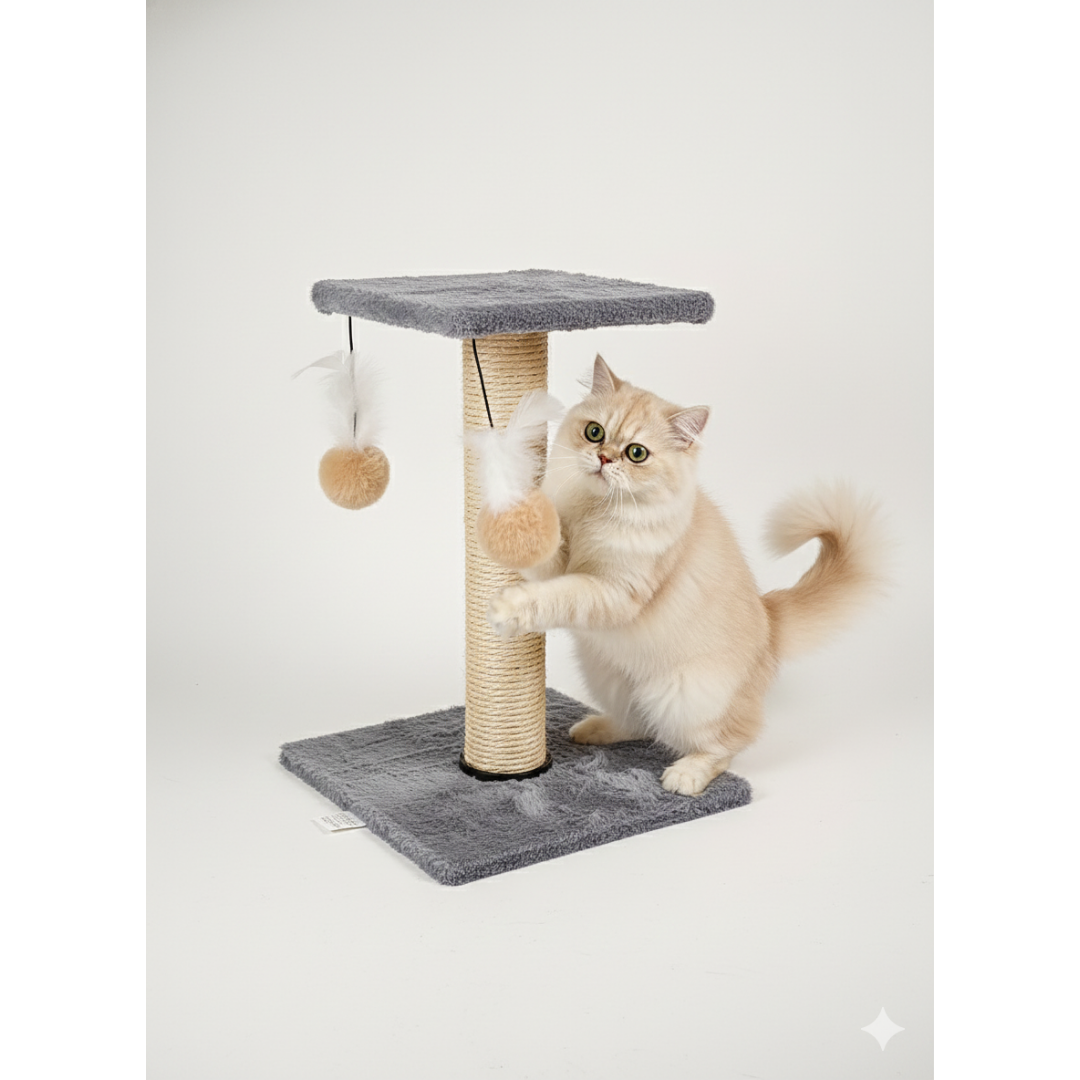 Arranhador Plataforma