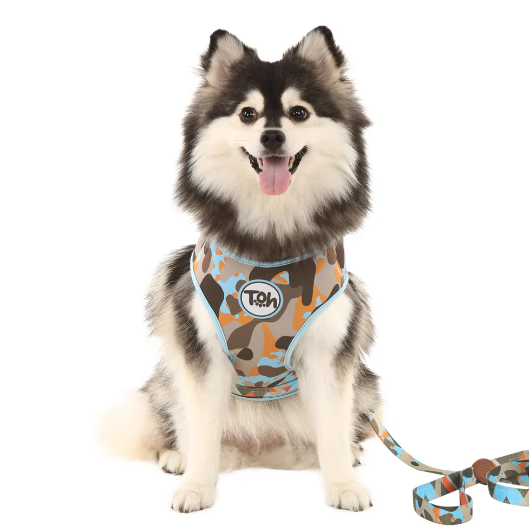 Peitoral Neocomfy e Guia Oliva G