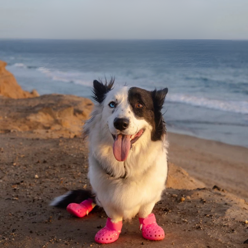 Tenis Tipo Crocs Pet