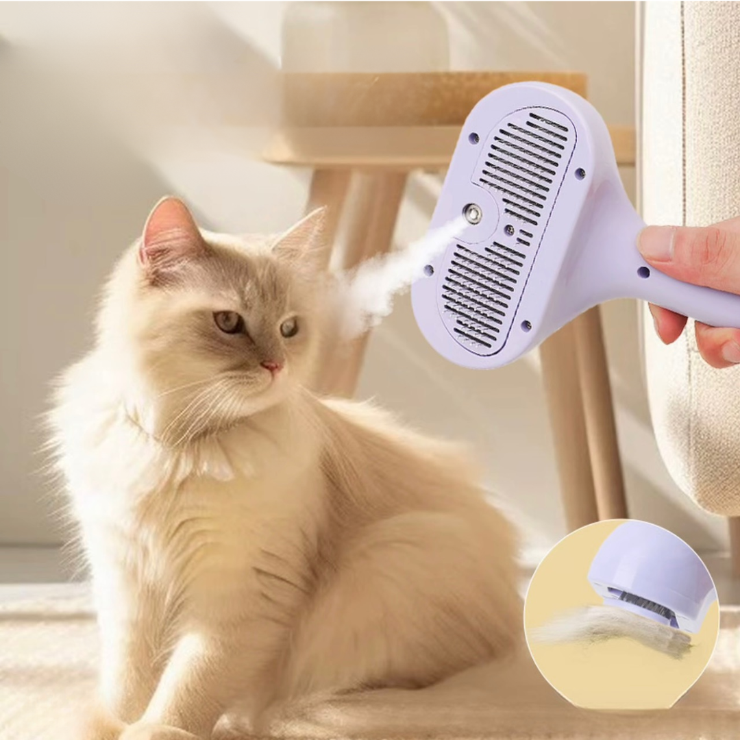 Escova Com Vapor 3 em 1