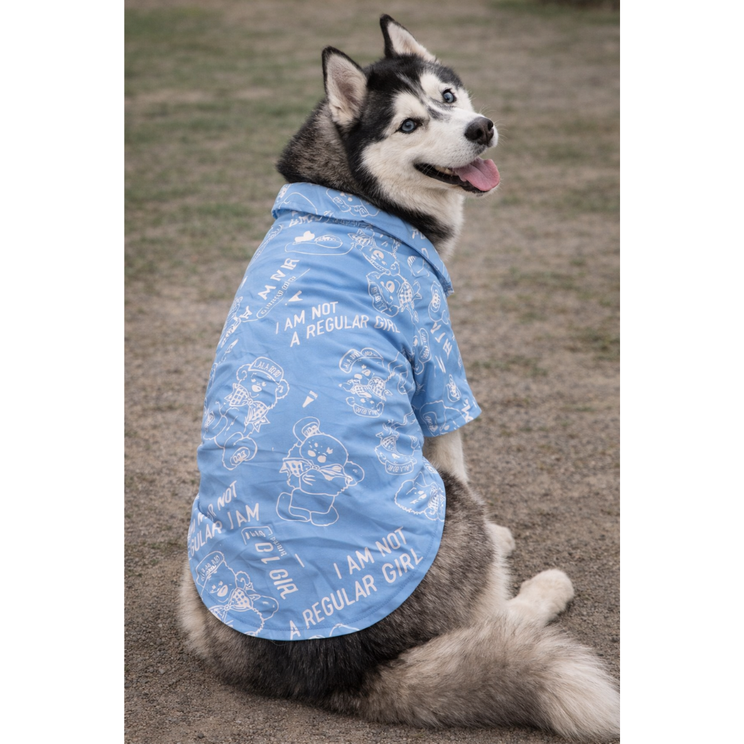 Camisa Azul Eco
