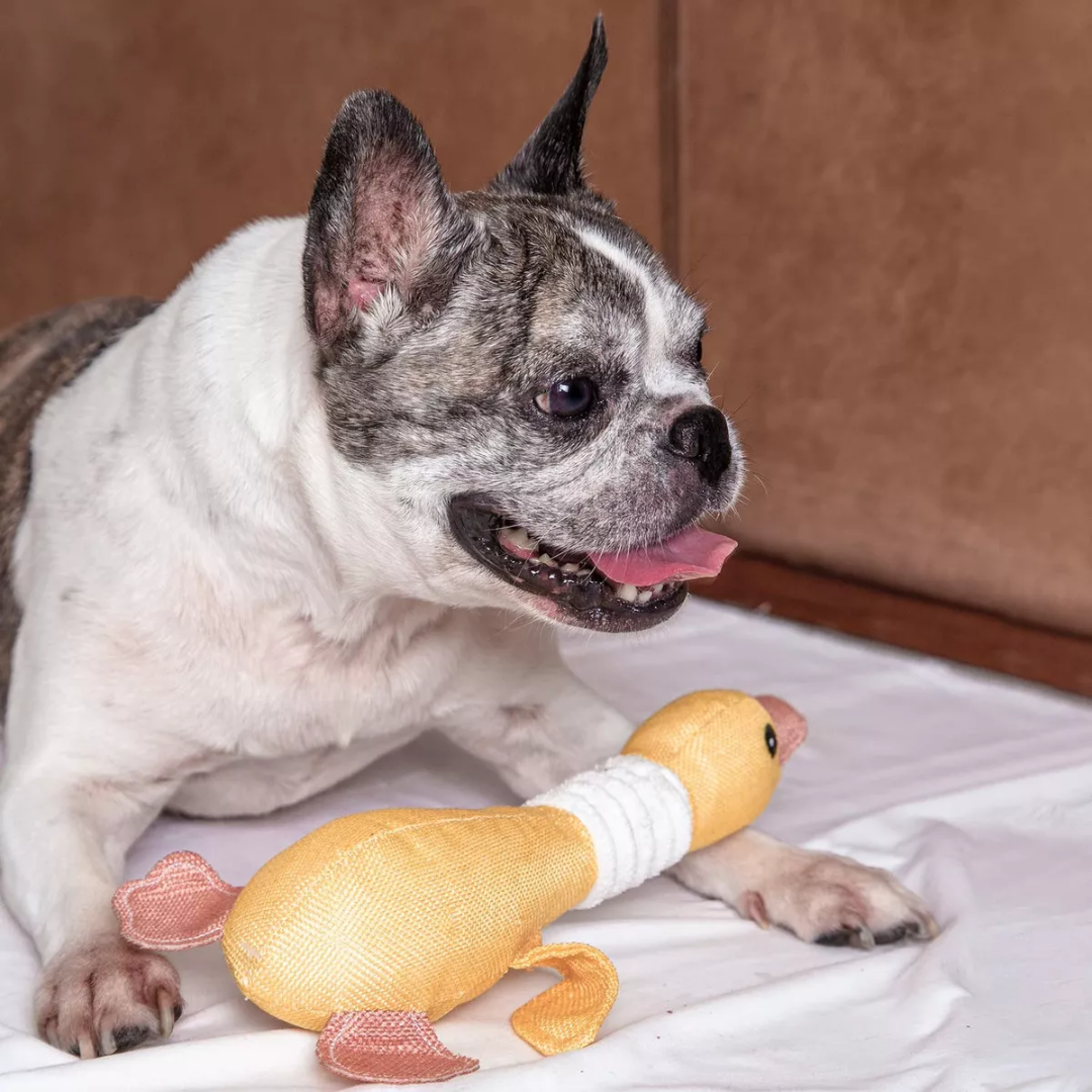 PATO PELUCIA RESISTENTE