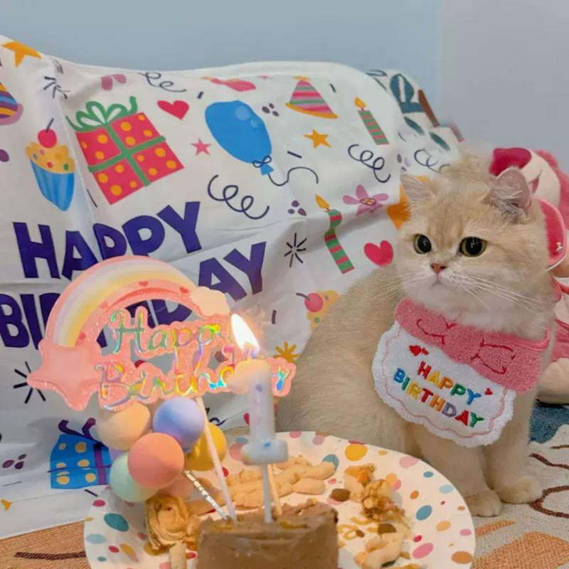 Kit Aniversário