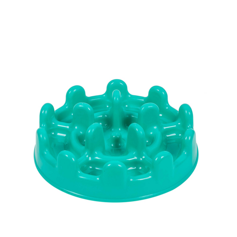 Mini Pet Fit Verde