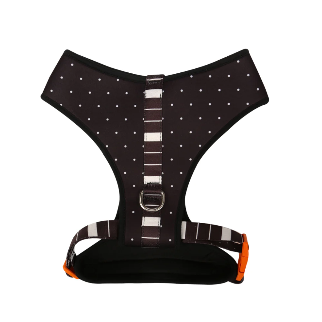 Peitoral Neocomfy e Guia Eclipse P