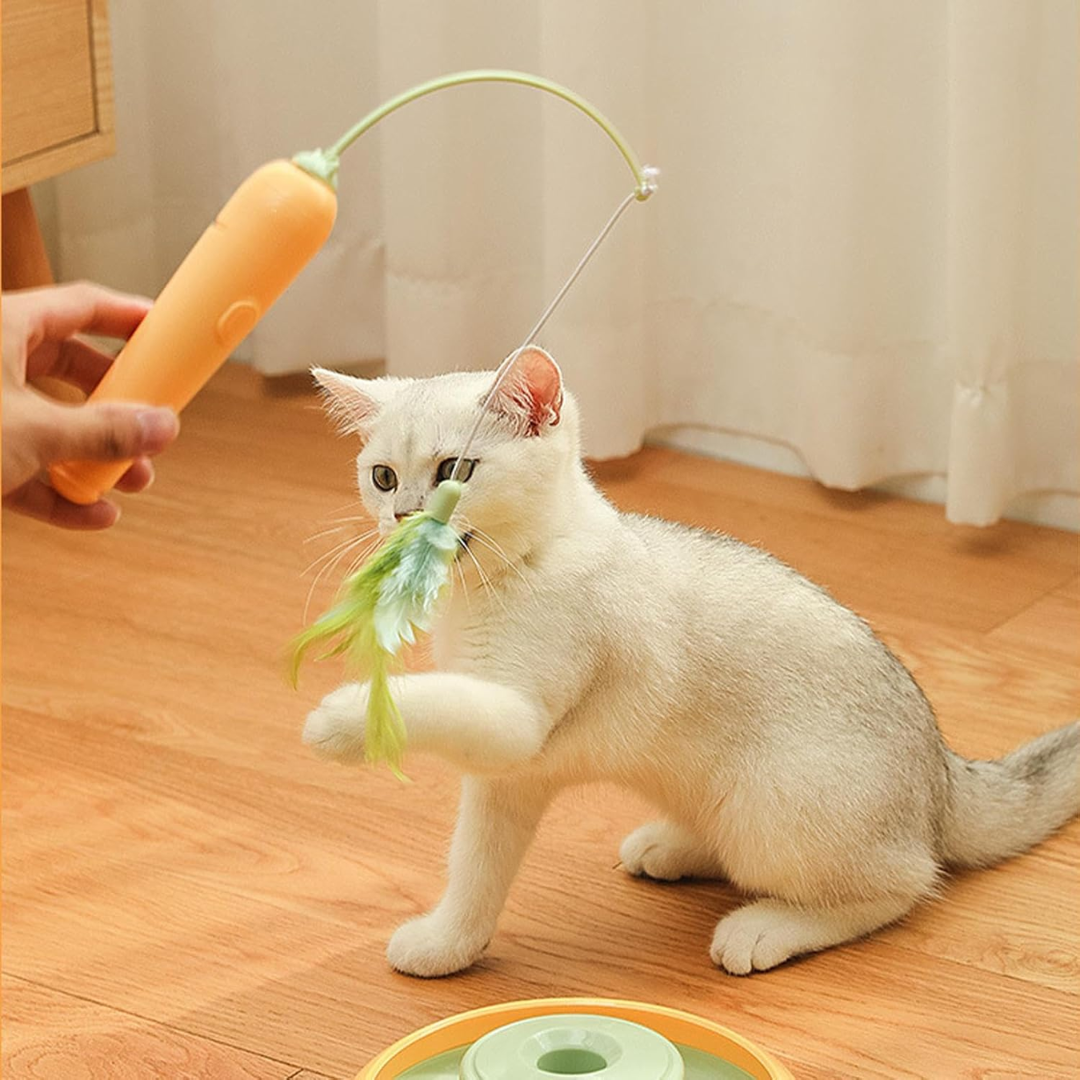 Brinquedo Automatico De Pena Para Gatos