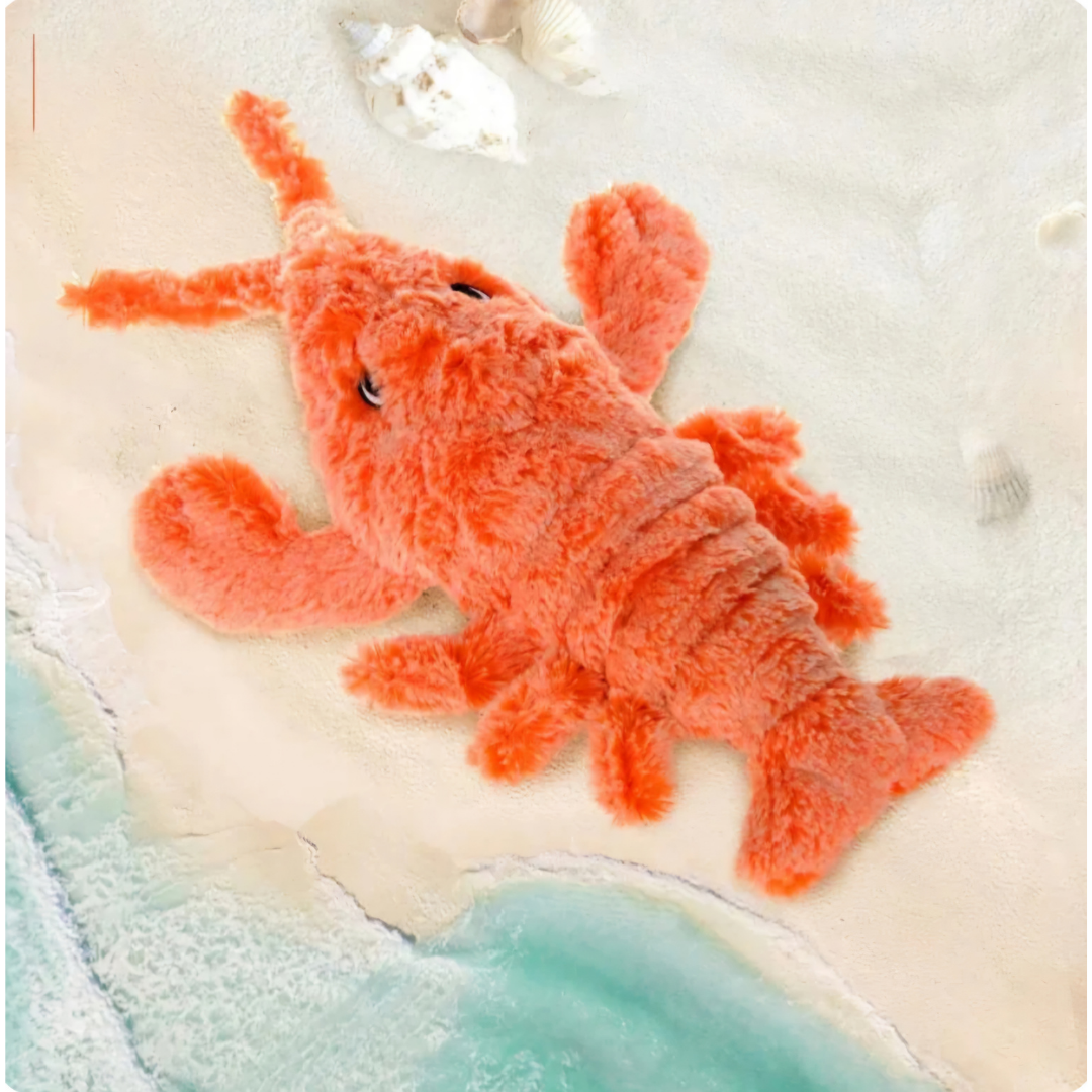 Lagosta Elétrica Que Mexe