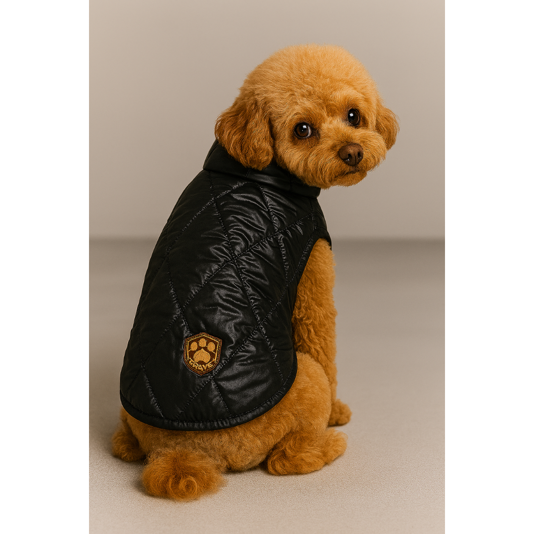 Colete Puffer De Inverno