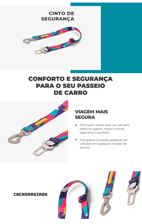 Cinto de Segurança