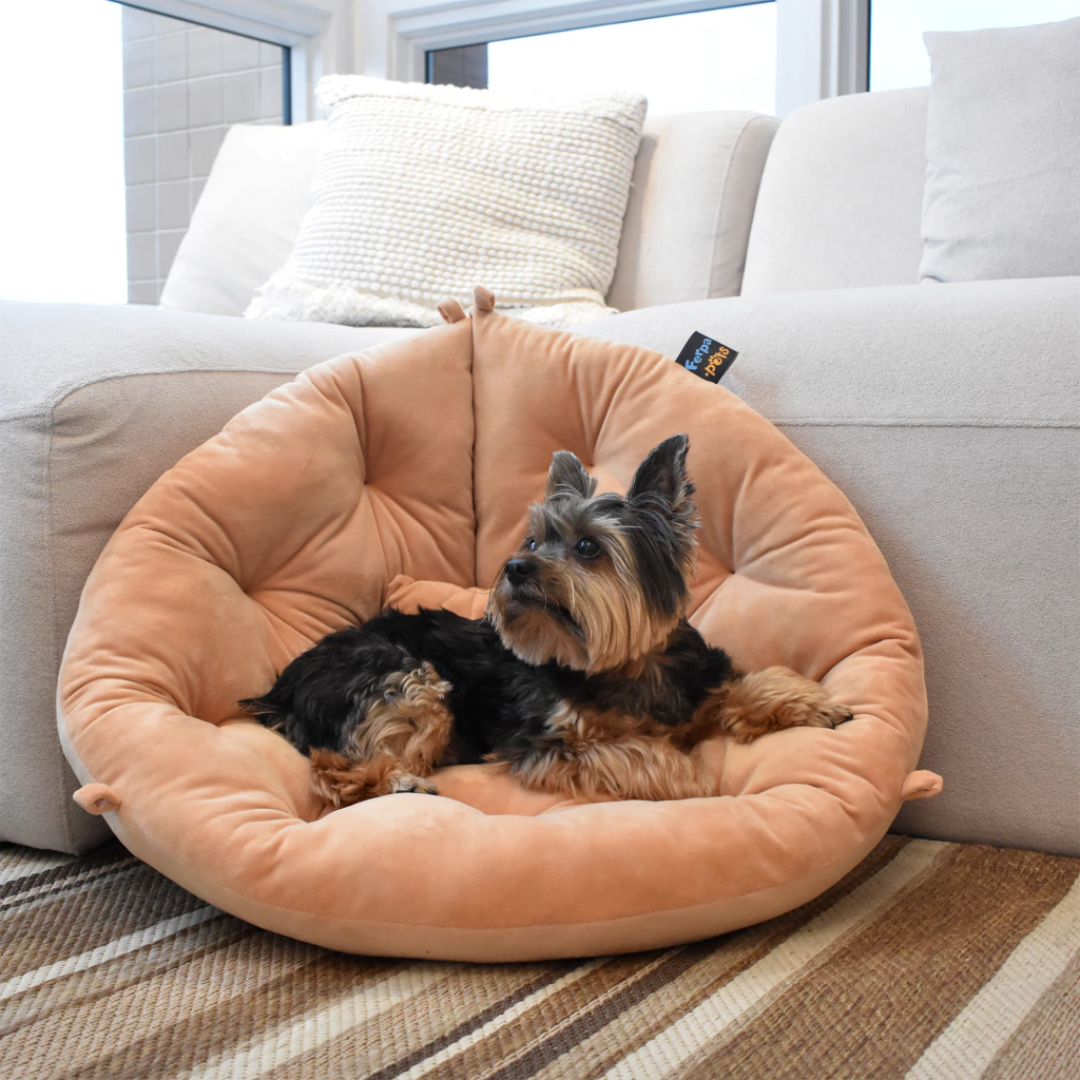 CAMA PET COLCHONETE