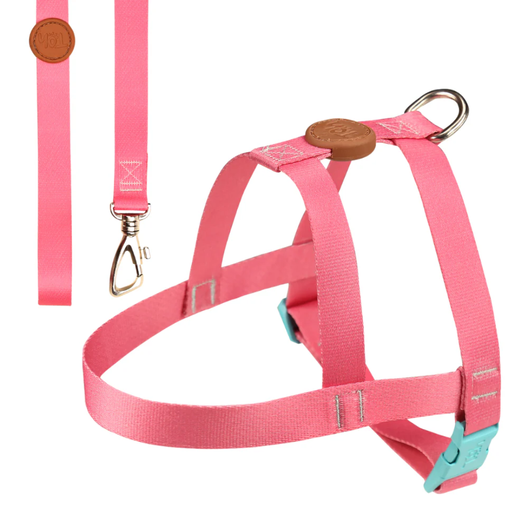 Peitoral Tradicional e Guia Fiji M