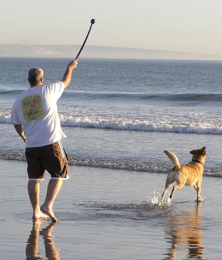 Lançador De Bolinha Para Cachorro