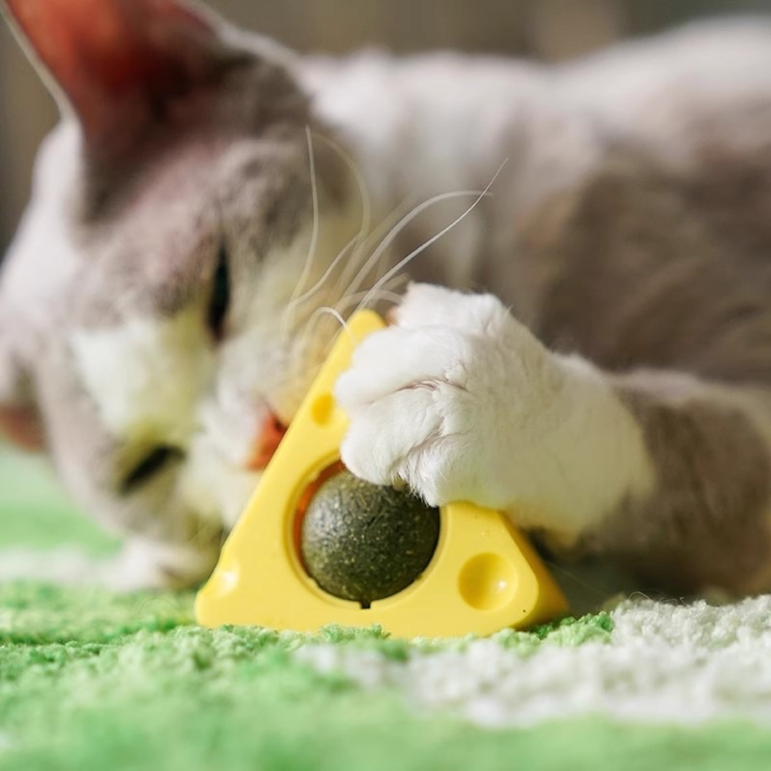 Lambedor Catnip Gatos Queijo