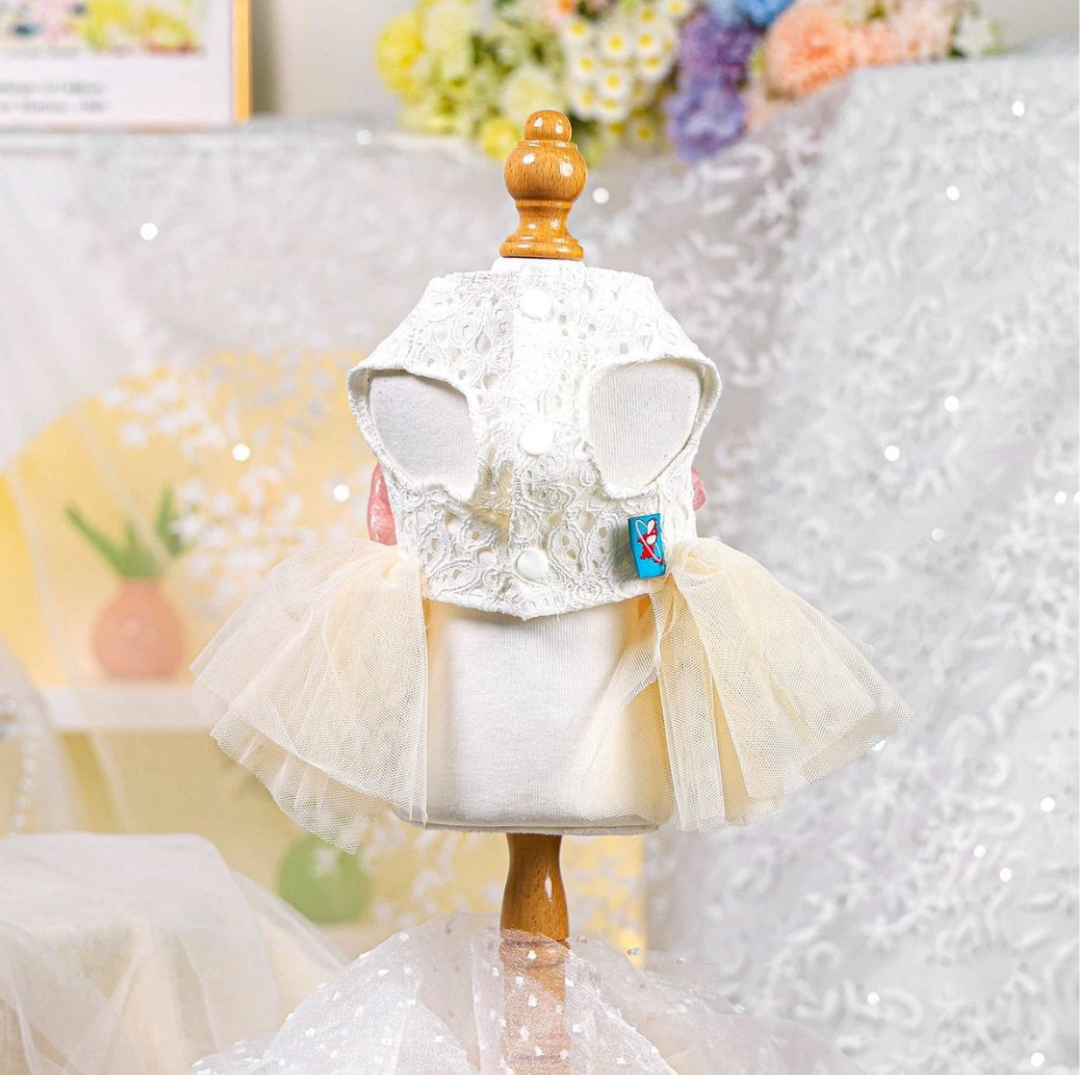 Vestido Cinderela Com Laço Rosa